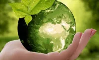 Retour sur le challenge Pas Eco-Responsable