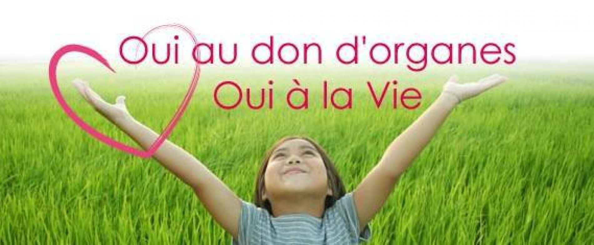 Dons d'organes